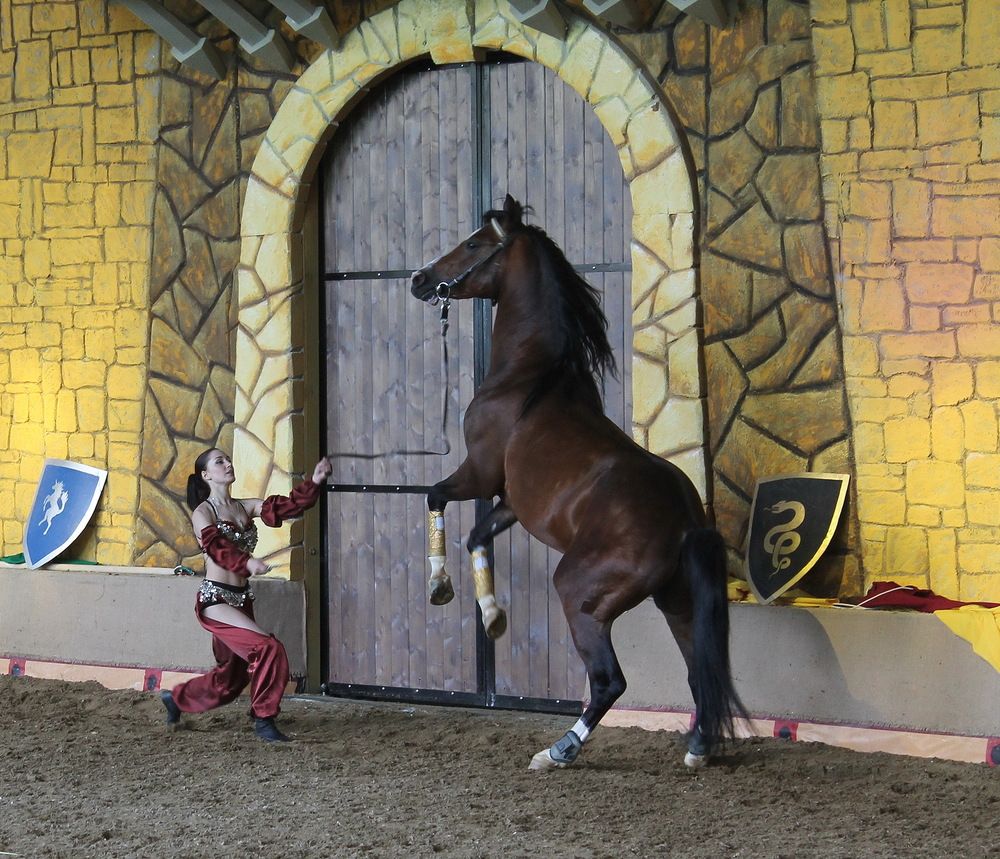 Photograph by Алла Бойко