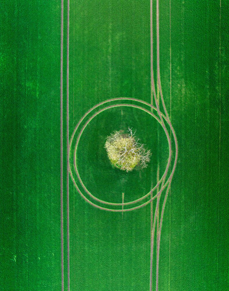 Photograph by Гордон Николай