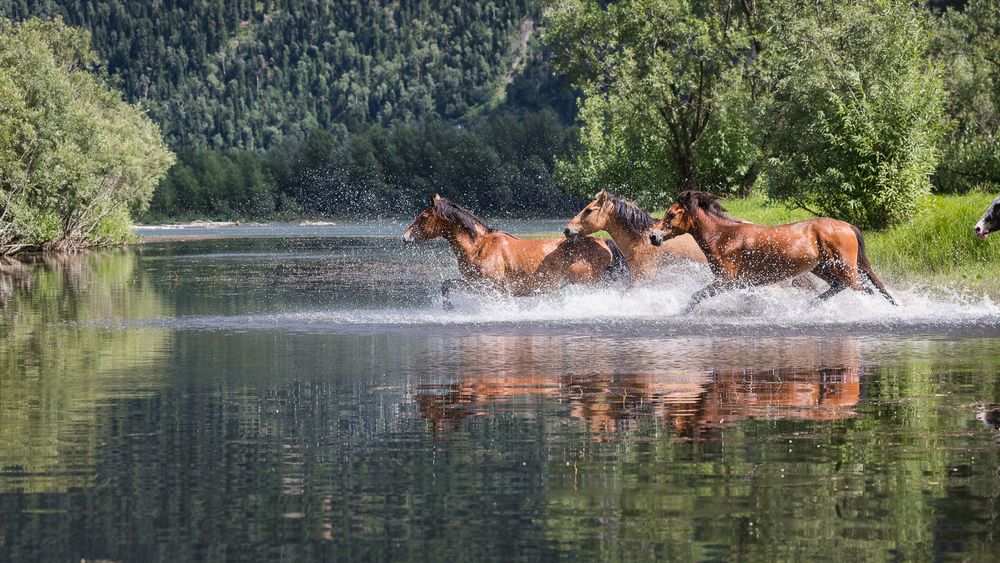 Photograph by Vladimir Schelkunov