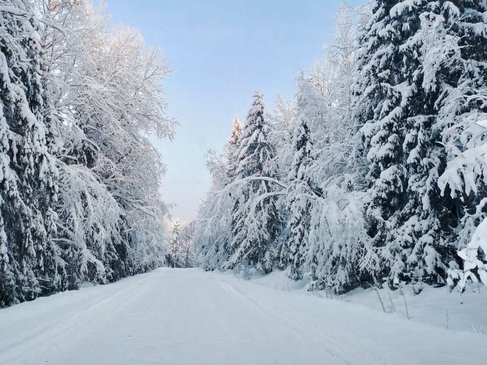Photograph by Александр Порохов