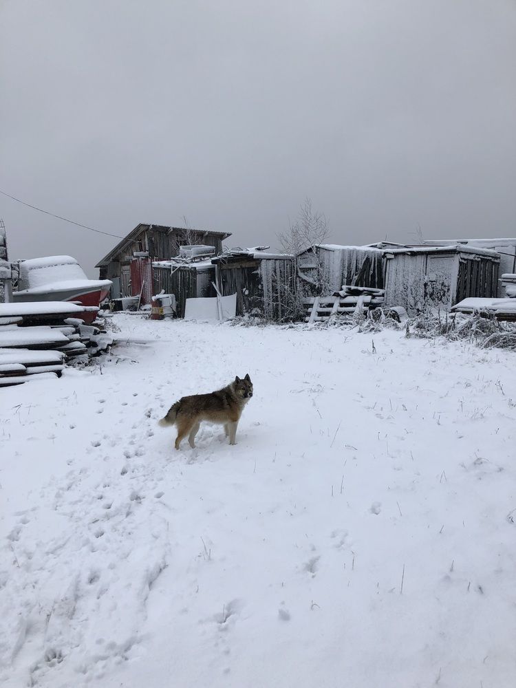 Photograph by Шестакова Елена