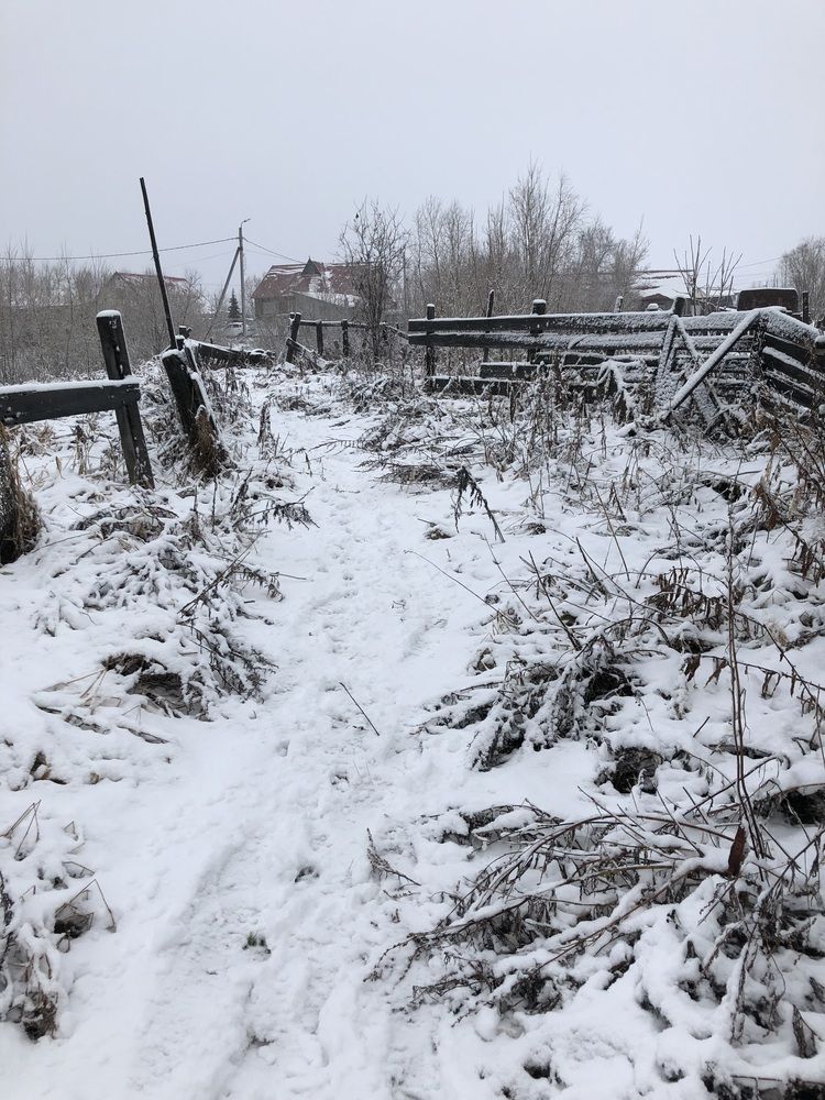 Photograph by Шестакова Елена