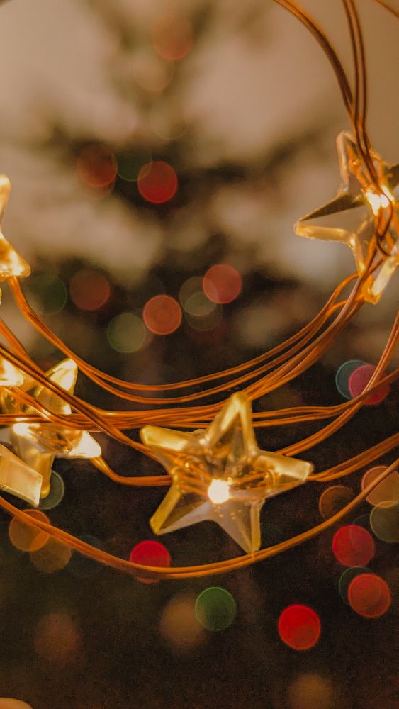 Photograph by Iryna Usanova