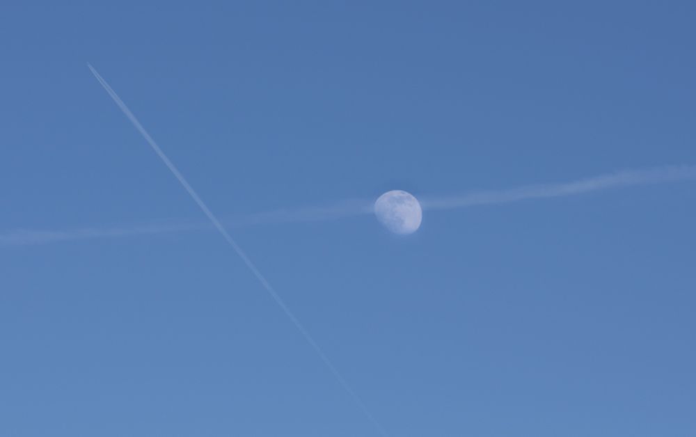 Photograph by Дария Ризниченко