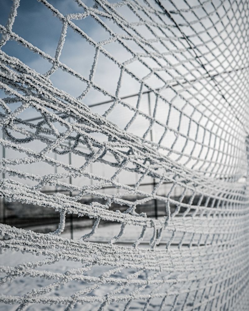 Фотография автора Алексей Парамзин