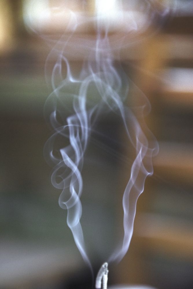 Photograph by Дария Ризниченко