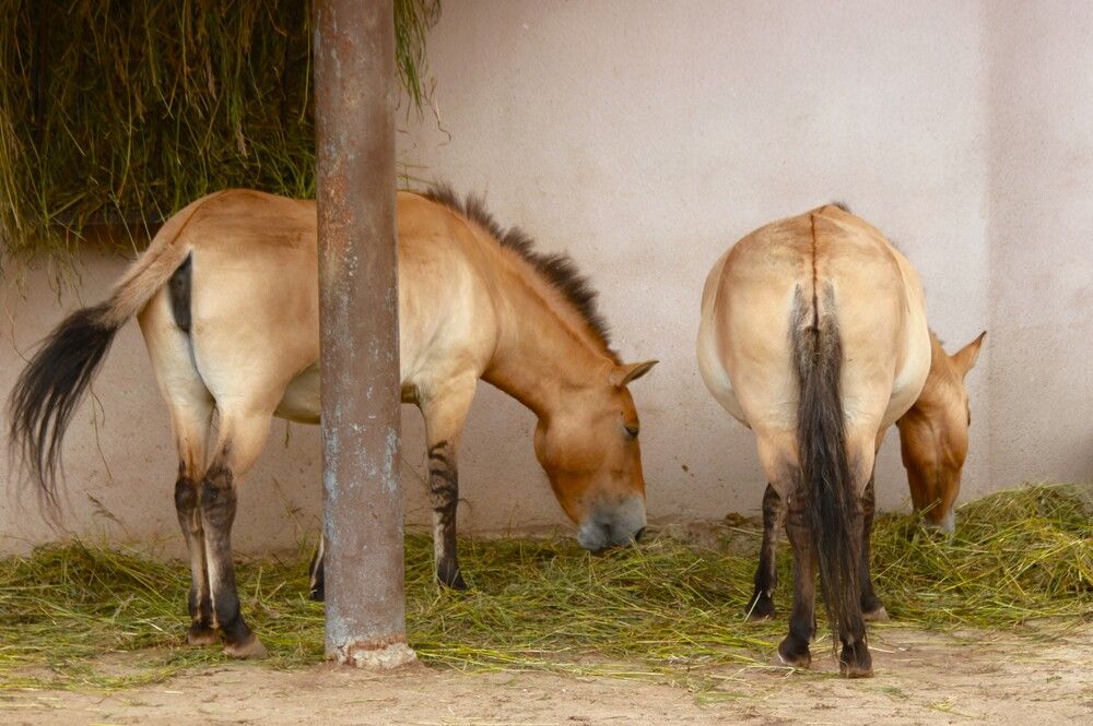 Photograph by Гагик Саркисян