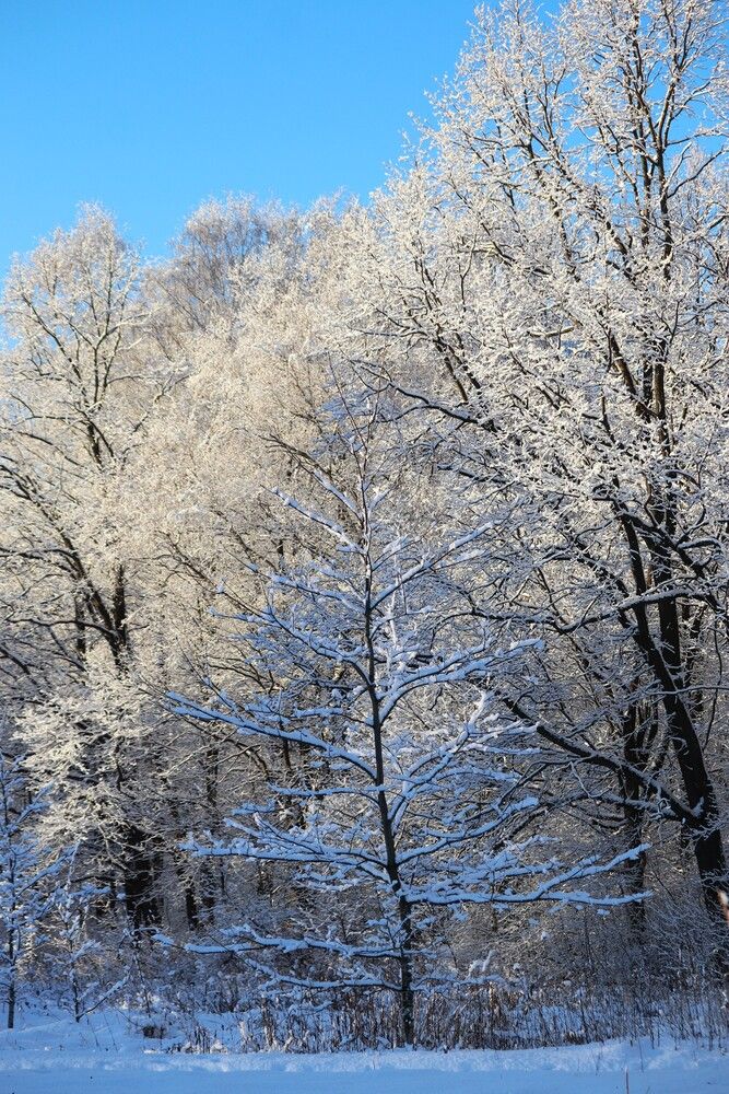 Photograph by Татьяна Пашинцева