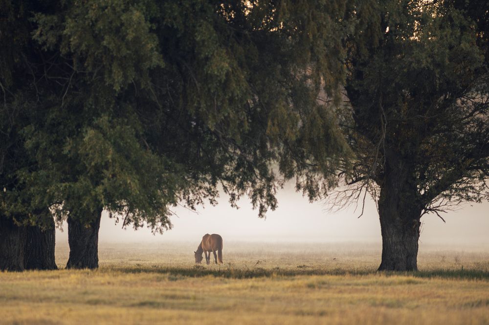 Фотография автора Сухенко Олег