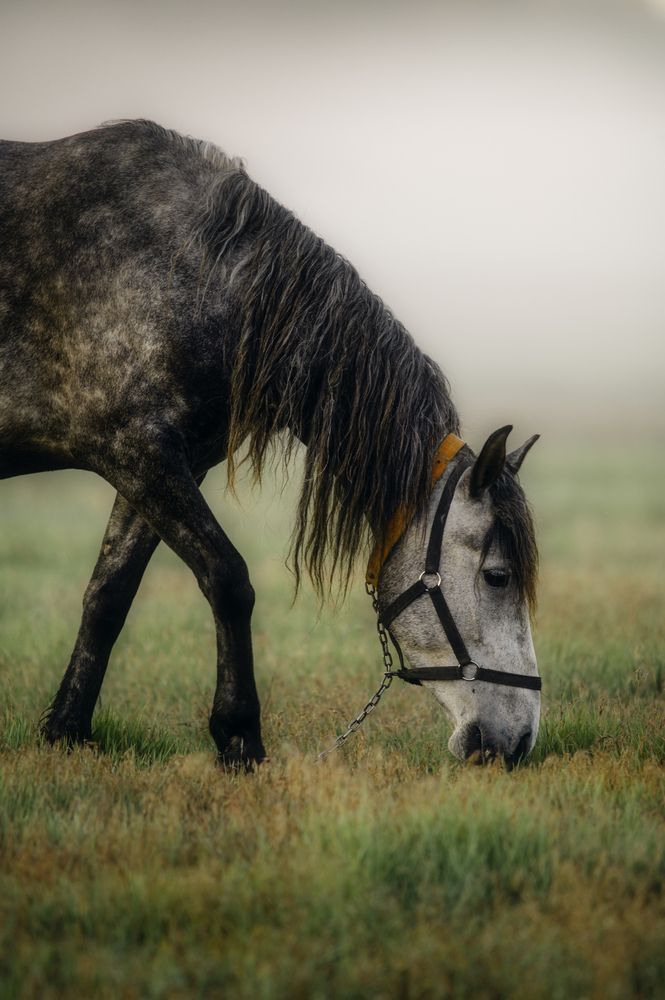 Фотография автора Сухенко Олег