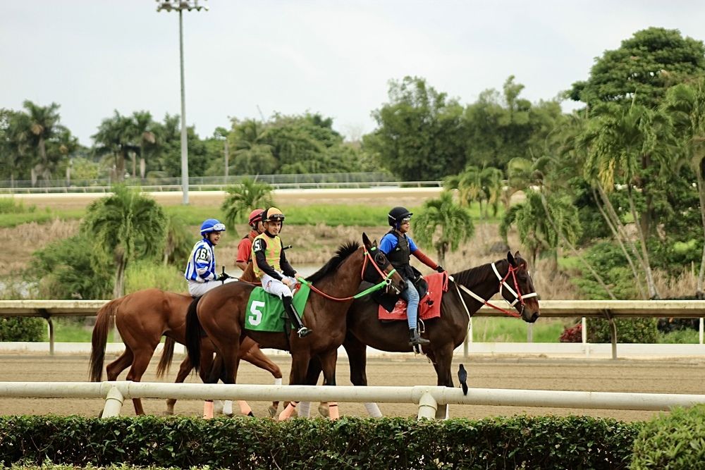 Фотография автора Jose Otero