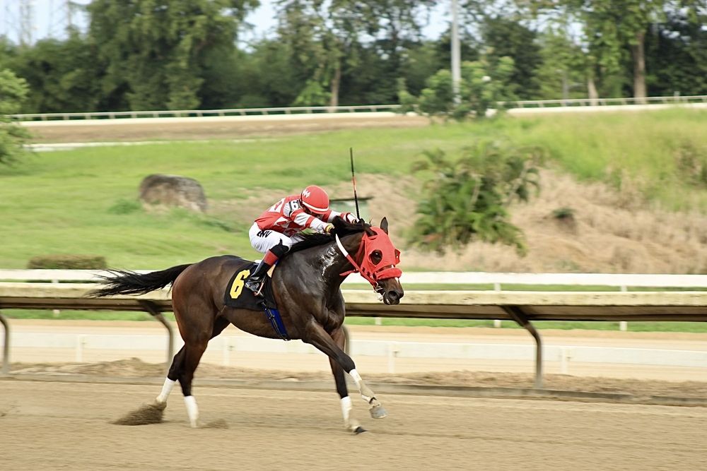 Фотография автора Jose Otero