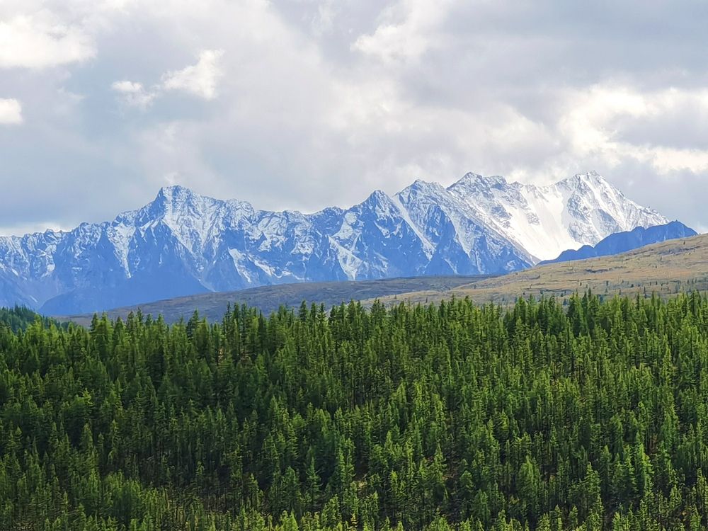 Photograph by The Sanechka