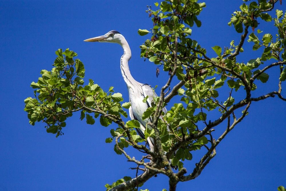 Photograph by Игорь Селин