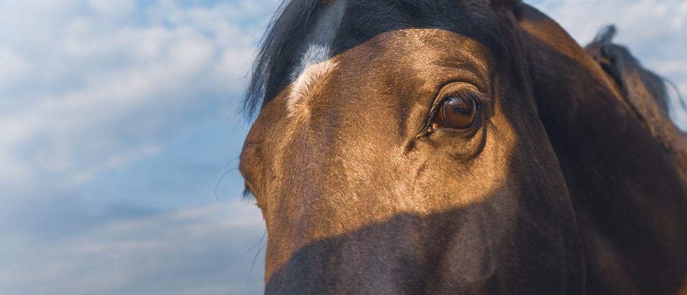 Photograph by Артем Киселев