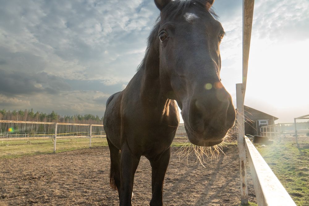 Photograph by Артем Киселев