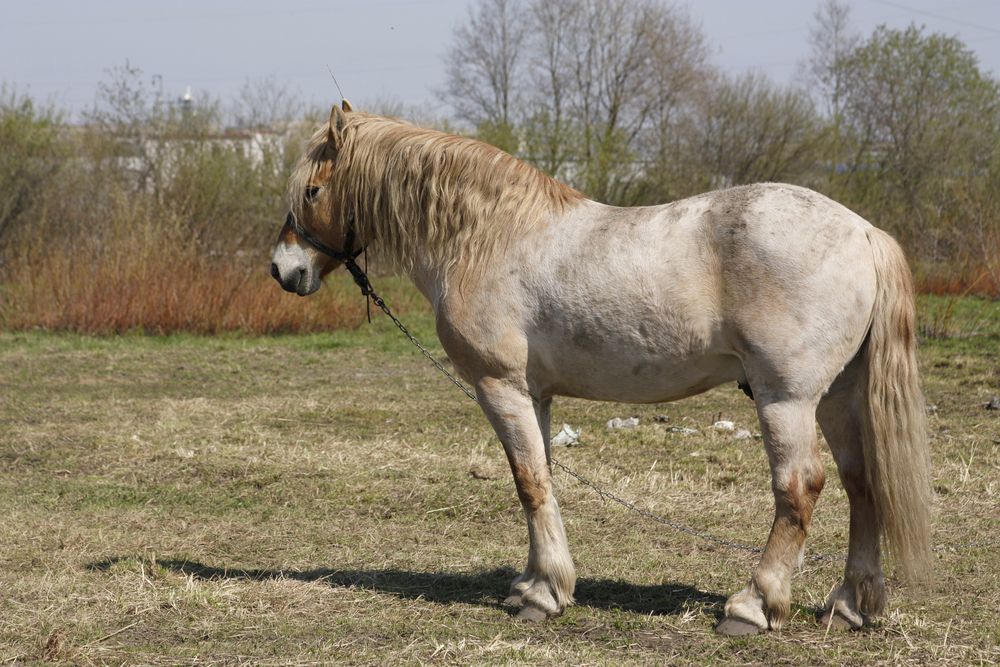 Photograph by Pavel Gukov