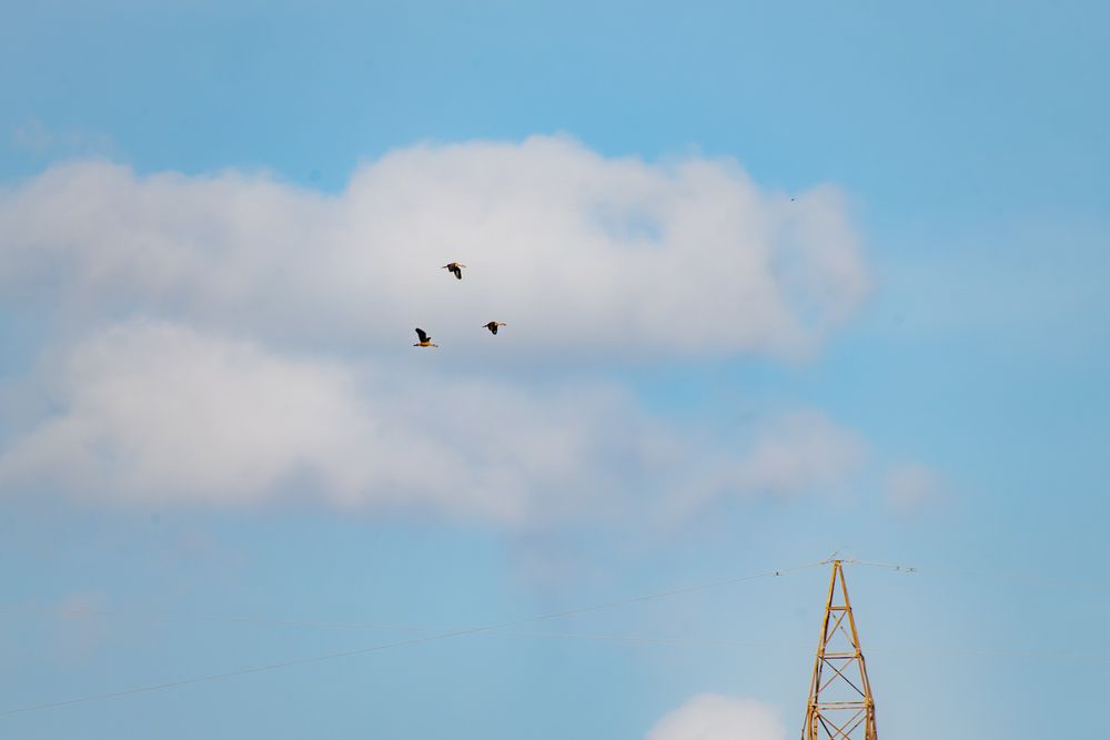 Photograph by Abhishek Pradhan