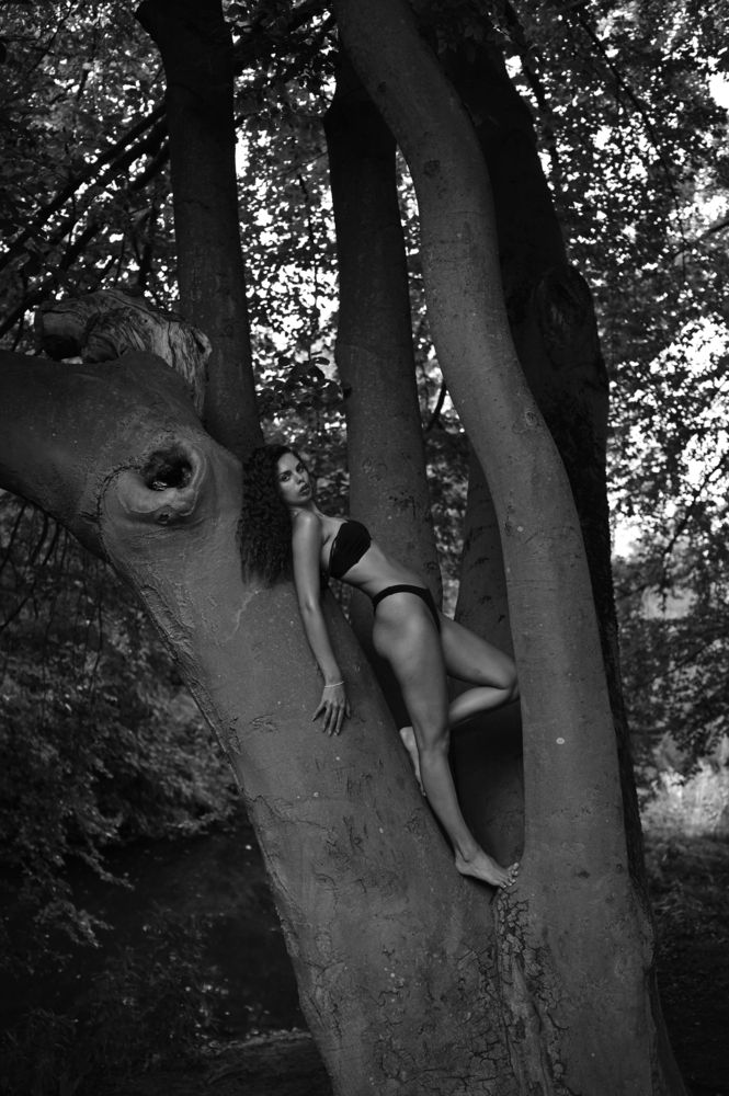 Photograph by Алина Миняйло