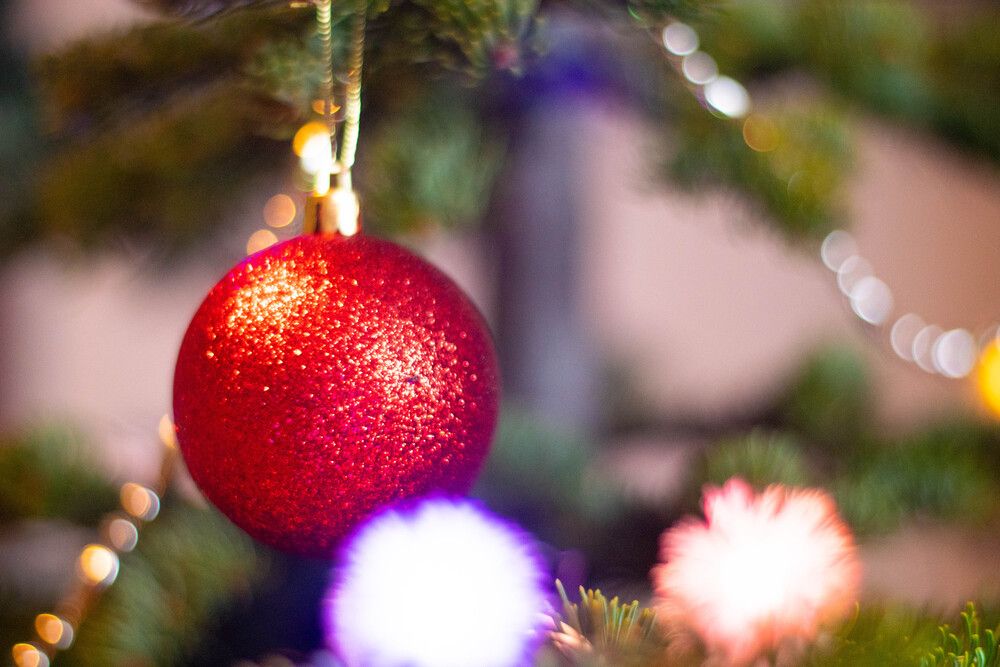 Photograph by Angelina Pirtina