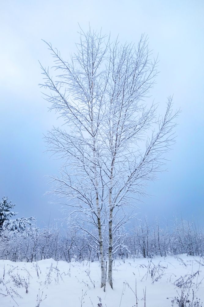 Photograph by Ионова Татьяна