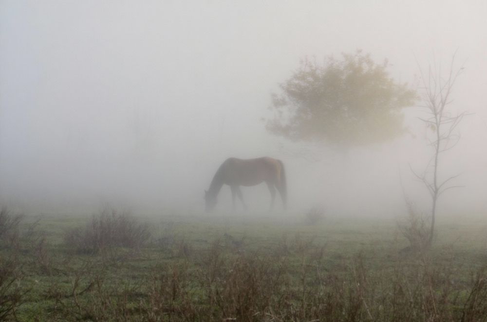 Фотография автора Наталья Алексеева