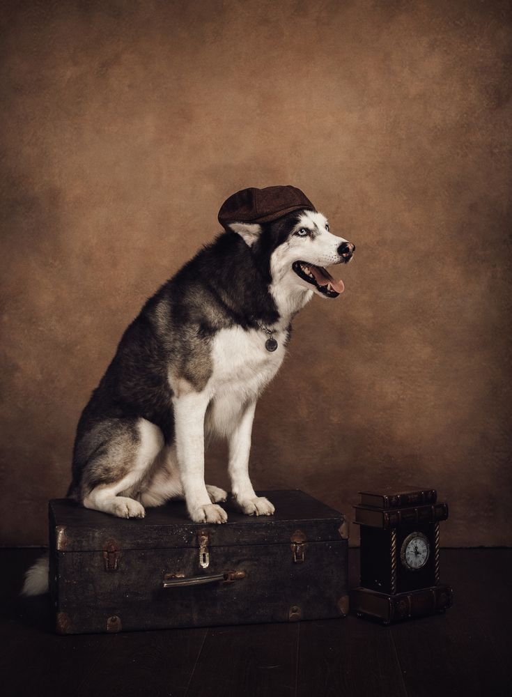 Photograph by Юлия Шестопалова