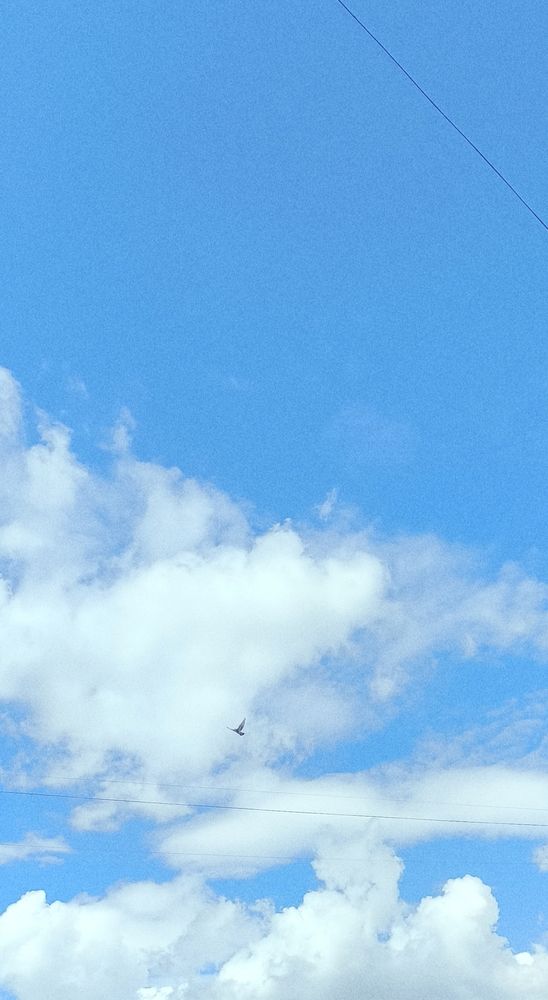 Photograph by Ульяна Бедрицкая