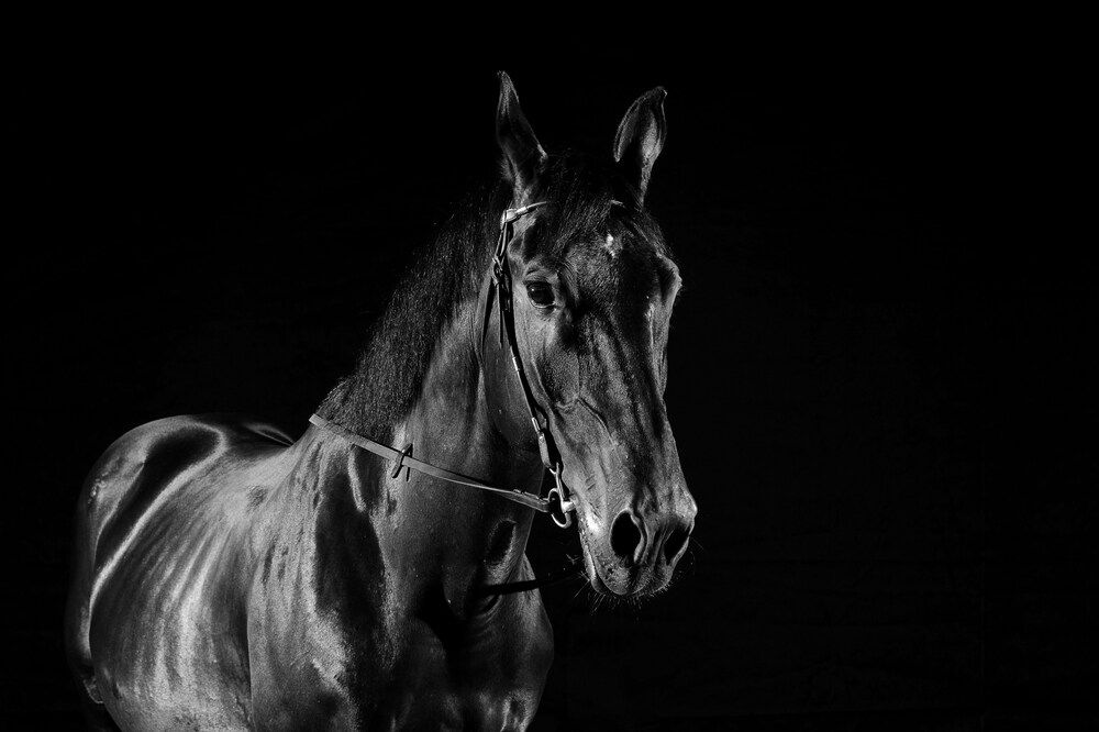 Фотография автора Юлия Шестопалова