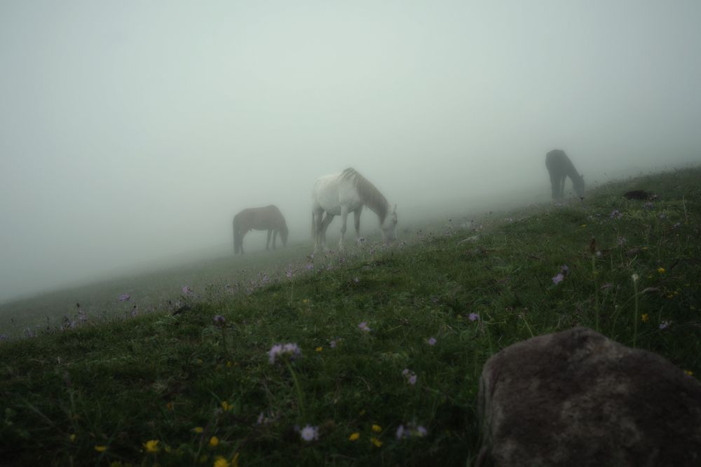 Лошади в облаках. Эпизод 1