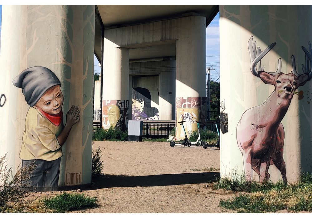 Фотография автора Olga Mamadzanova