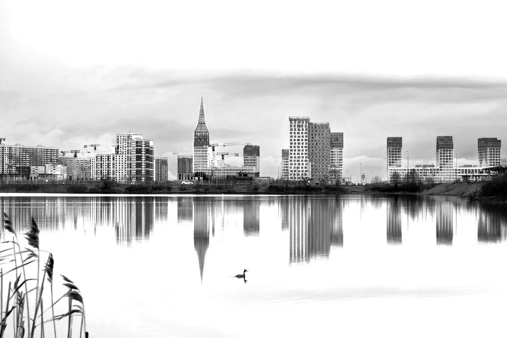 Photograph by Дьяченко Алёна