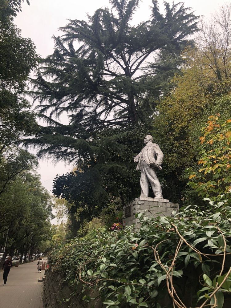 Photograph by Светлана