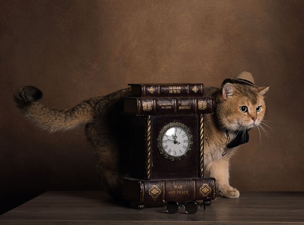Photograph by Юлия Шестопалова