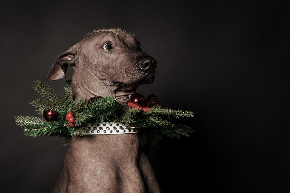 Photograph by Olga Nebelskaya