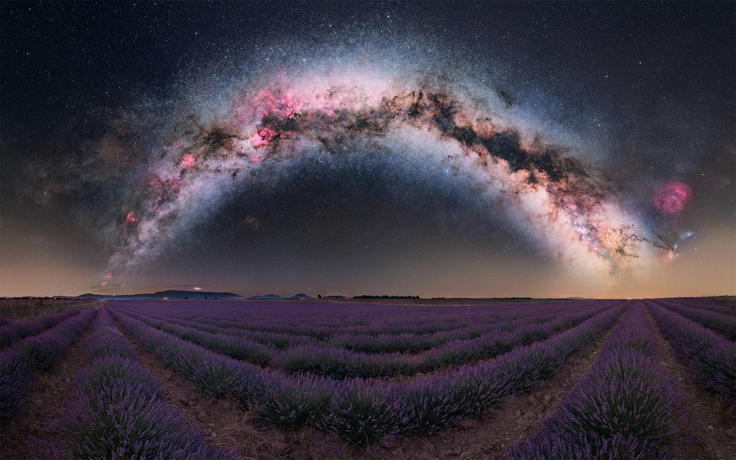 Фотография #12988606