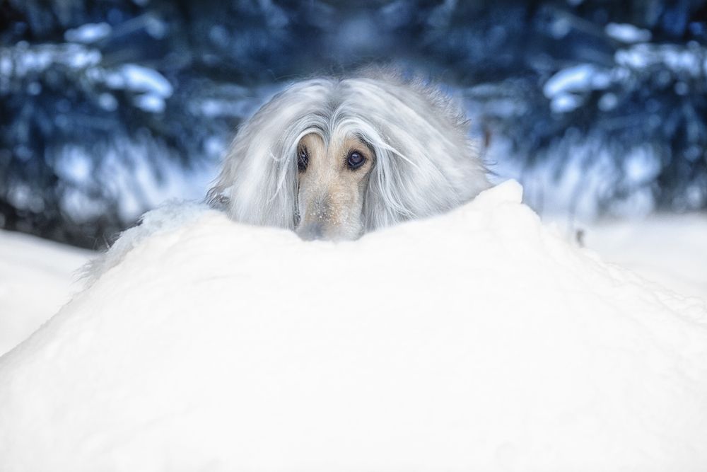 Photograph by Ольга Софронова