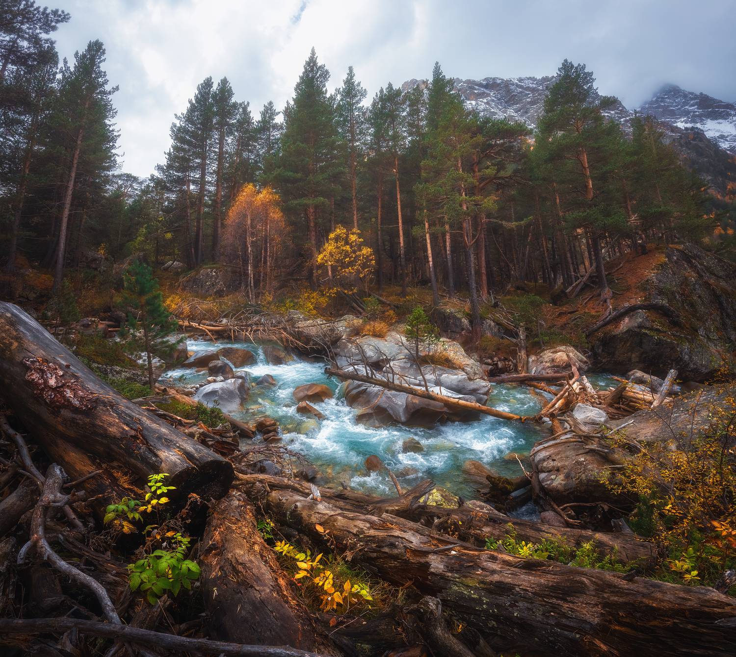 Уходящие нотки осени