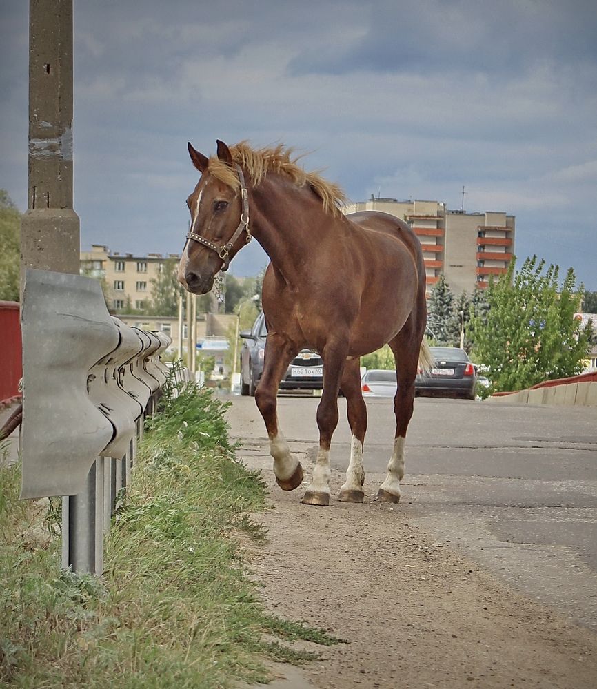 В городской суете.