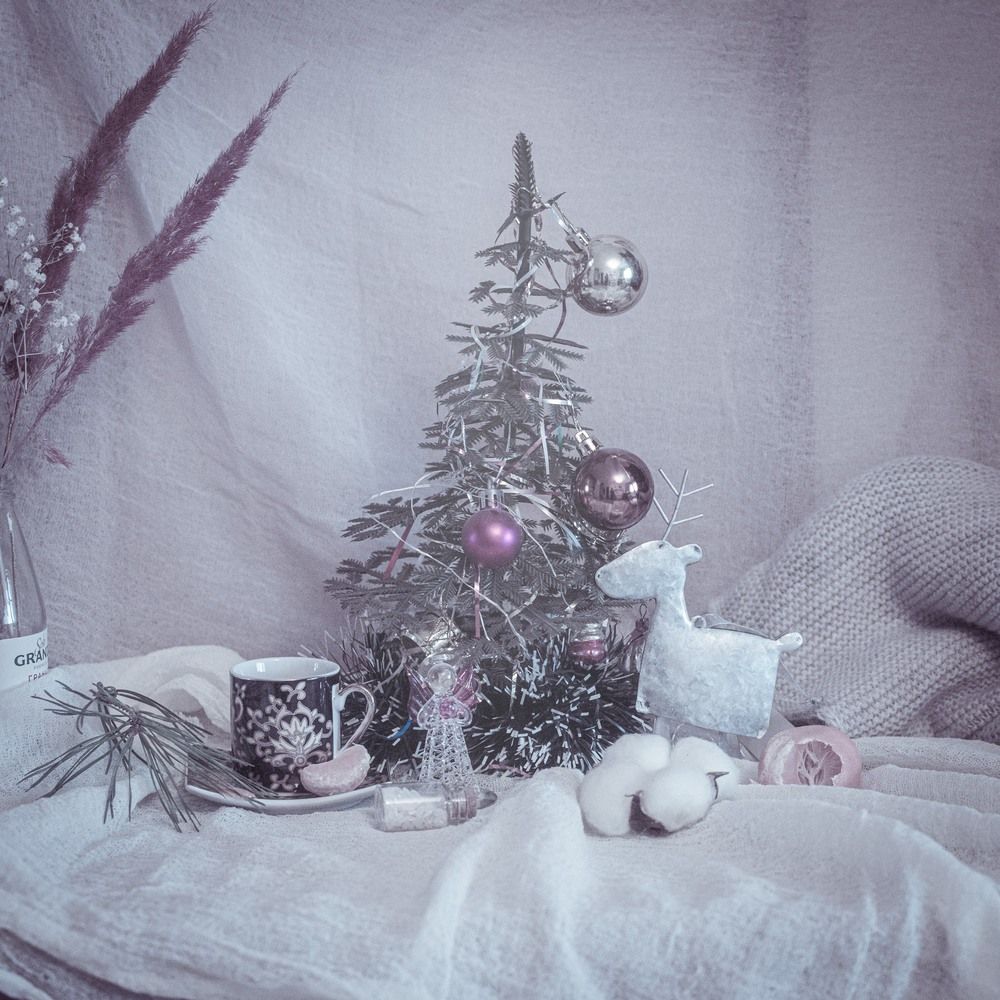 Photograph by Ксения Шилина