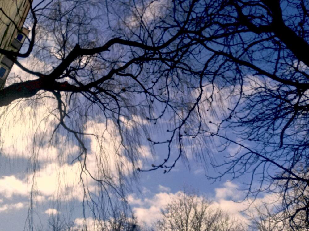 Фотография автора Инесса Ганкина