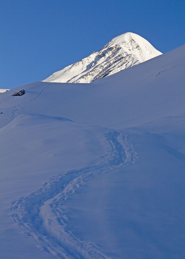 Заветная цель...