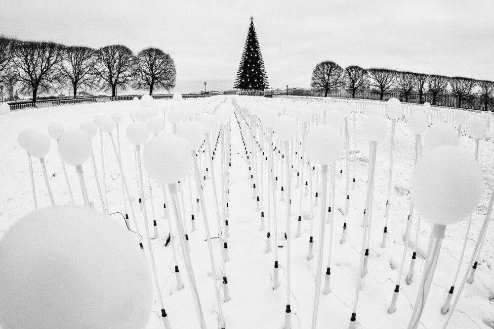 Photograph by Dimitri Bakhtadze