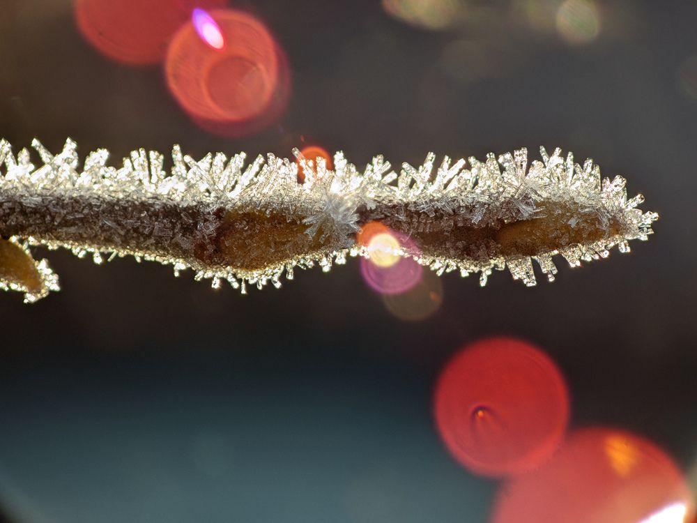 Photograph by Alexandr Gorelenkov