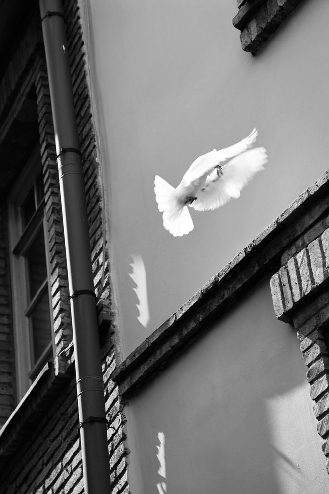 Photograph by Марина Иванникова