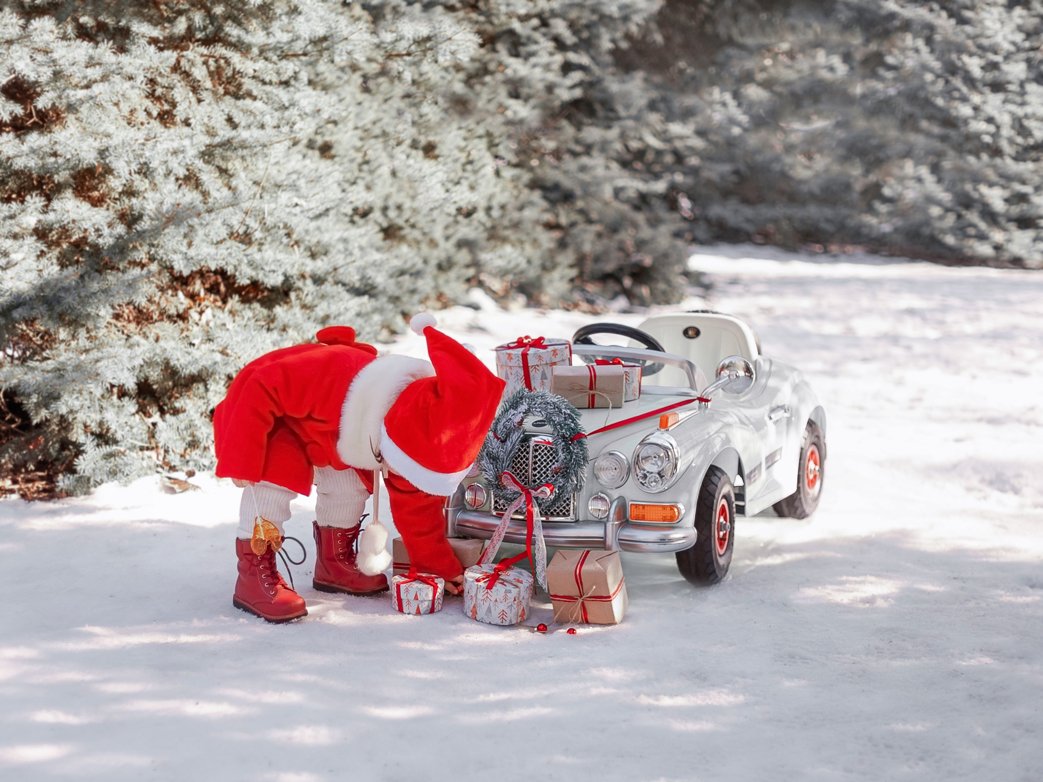 Photograph by Sasha Alisun