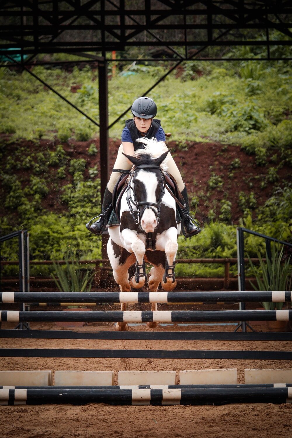 Photo #12988868