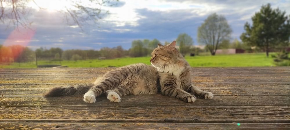 Photograph by Григорий Полосин
