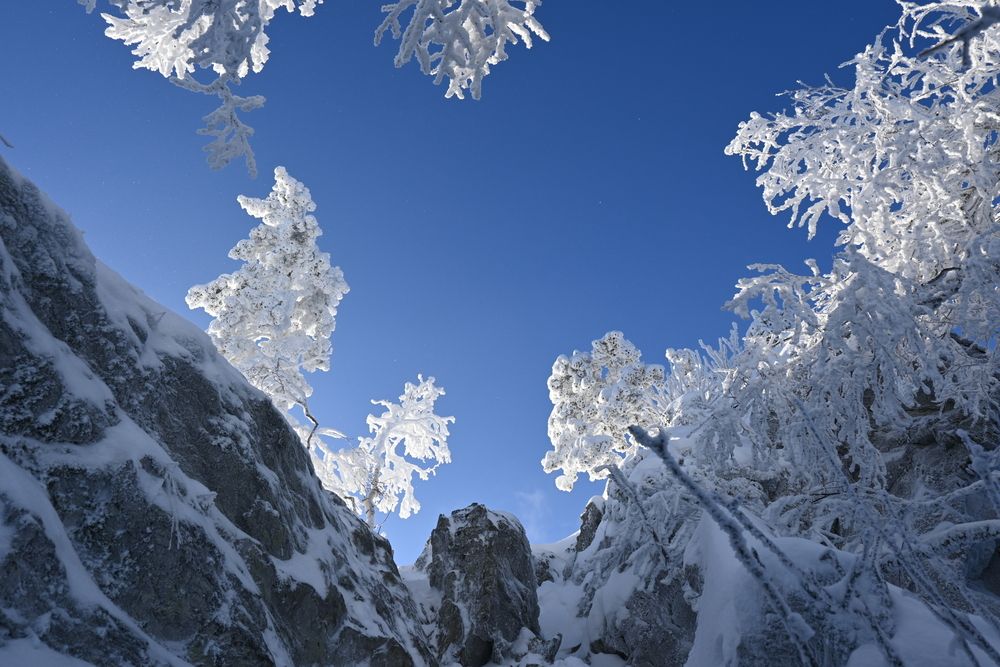 Photograph by Ирина Вдовенко