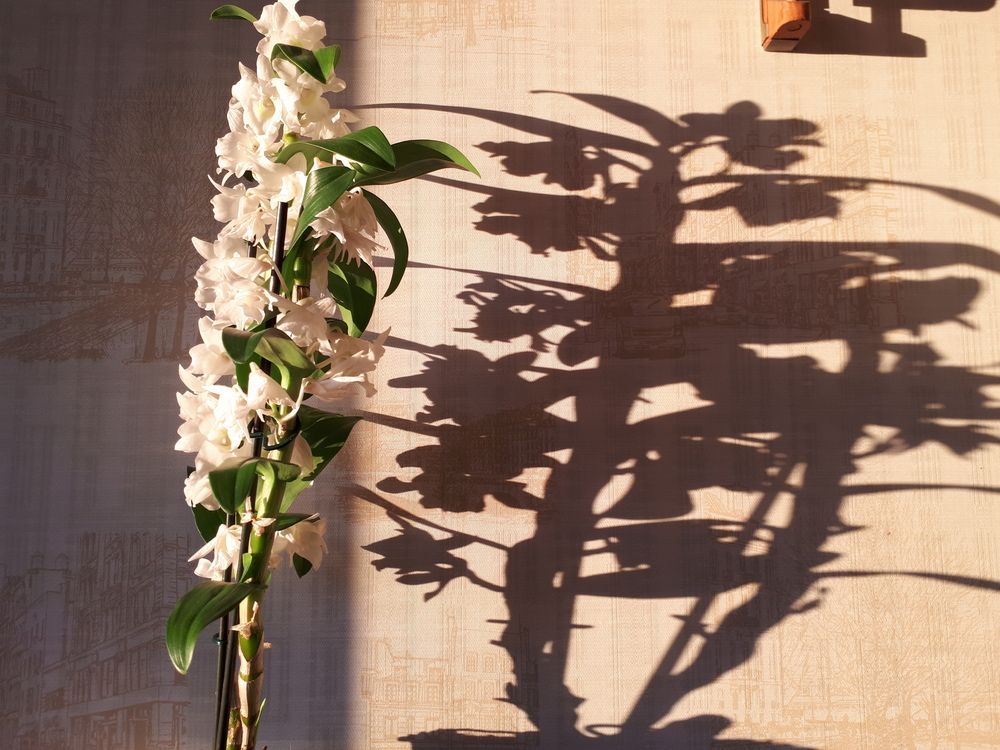 Photograph by Людмила Ковалева